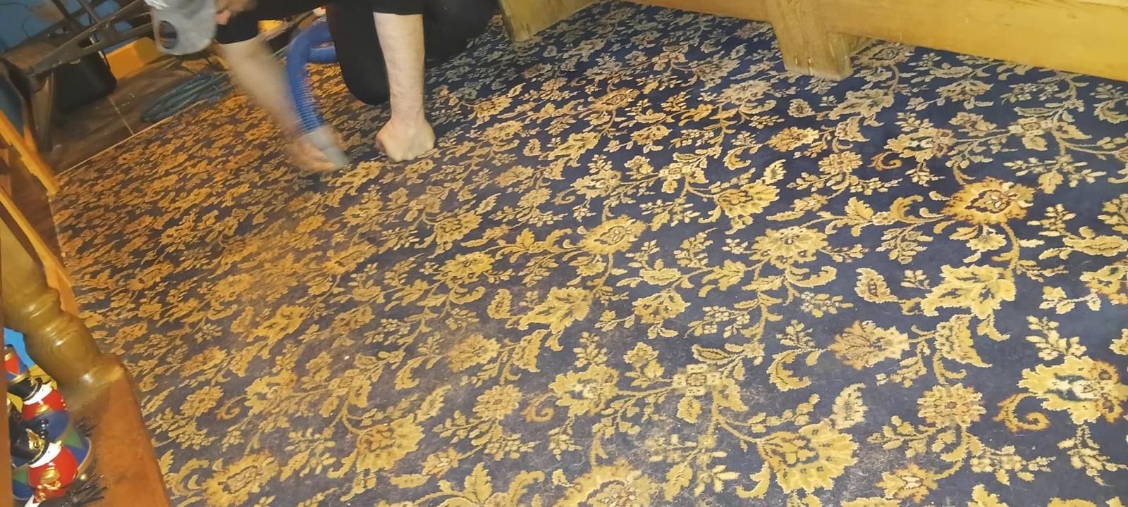 Carpet Cleaning Carpet Cleaning