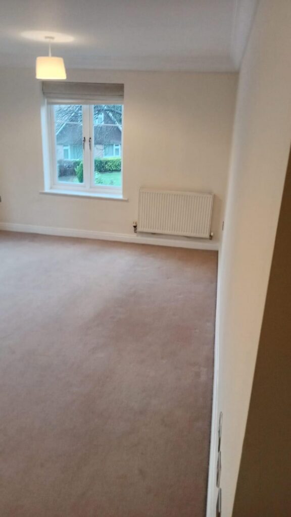 Carpet Cleaning