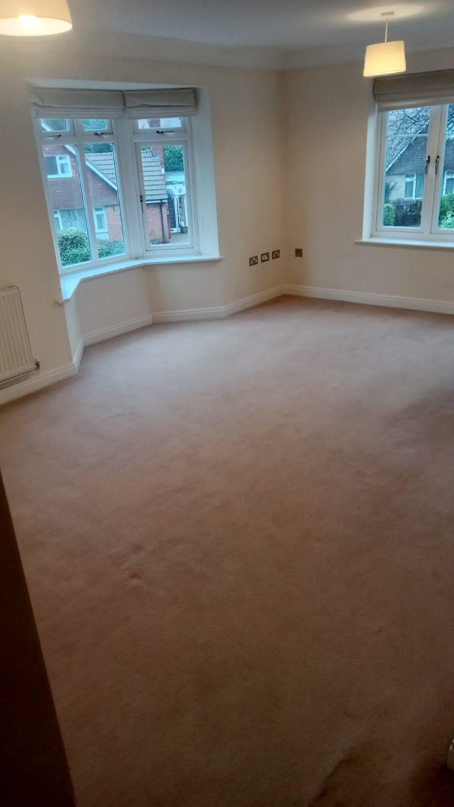 Carpet Cleaning